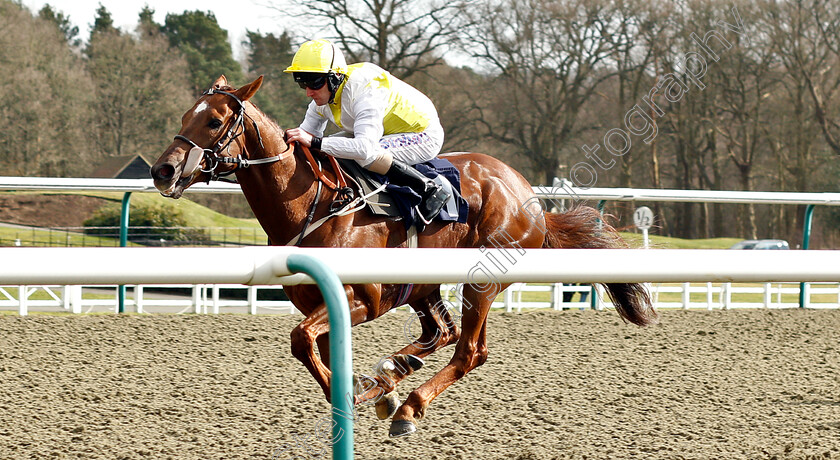 King s-Advice-0003 
 KING'S ADVICE (Joe Fanning) wins The Betway Live Casino Handicap
Lingfield 2 Mar 2019 - Pic Steven Cargill / Racingfotos.com