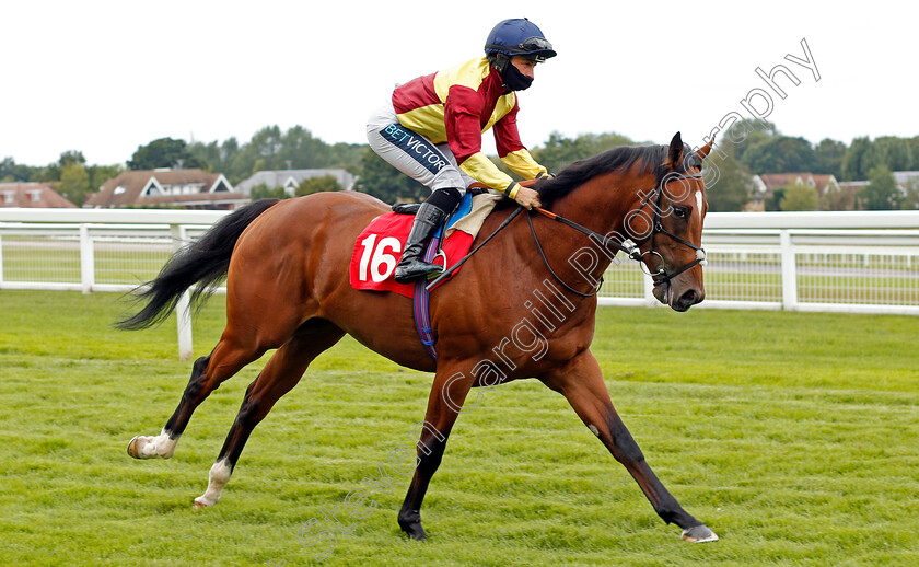 Zoolander-0001 
 ZOOLANDER (Nicola Currie)
Sandown 23 Aug 2020 - Pic Steven Cargill / Racingfotos.com