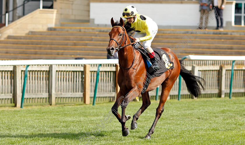 Subastar-0001 
 SUBASTAR (Andrea Atzeni) winner of The British Stallion Studs EBF Maiden Stakes
Newmarket 23 Sep 2021 - Pic Steven Cargill / Racingfotos.com