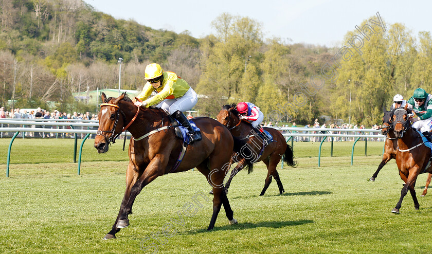 Major-Valentine-0001 
 MAJOR VALENTINE (Kate Leahy) wins The UK Meds Direct Apprentice Handicap
Nottingham 20 Apr 2019 - Pic Steven Cargill / Racingfotos.com