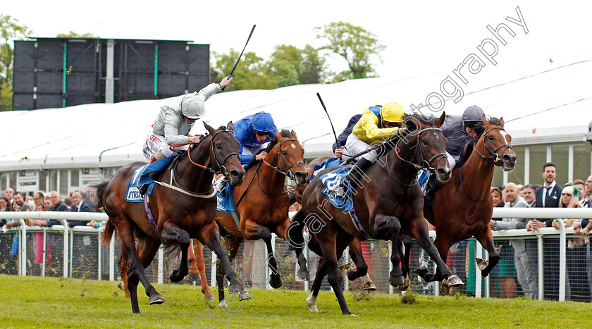 Young-Rascal-0003 
 YOUNG RASCAL (centre, James Doyle) beats DEE EX BEE (left) and FLAG OF HONOUR (right) in The Centennial Celebration MBNA Chester Vase Stakes Chester 9 May 2018 - Pic Steven Cargill / Racingfotos.com