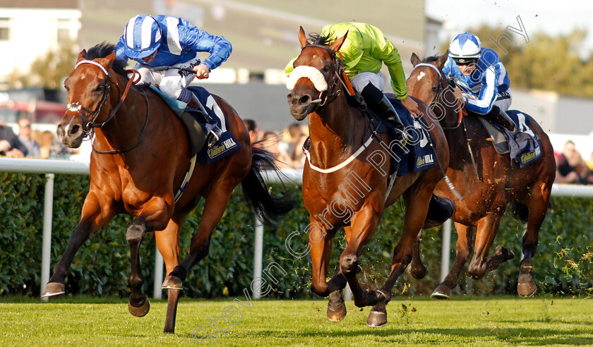 Enjazaat-0003 
 ENJAZAAT (left, Jim Crowley) beats MEDAHIM (right) in The Follow @willhillracing On Twitter Handicap
Doncaster 13 Sep 2019 - Pic Steven Cargill / Racingfotos.com