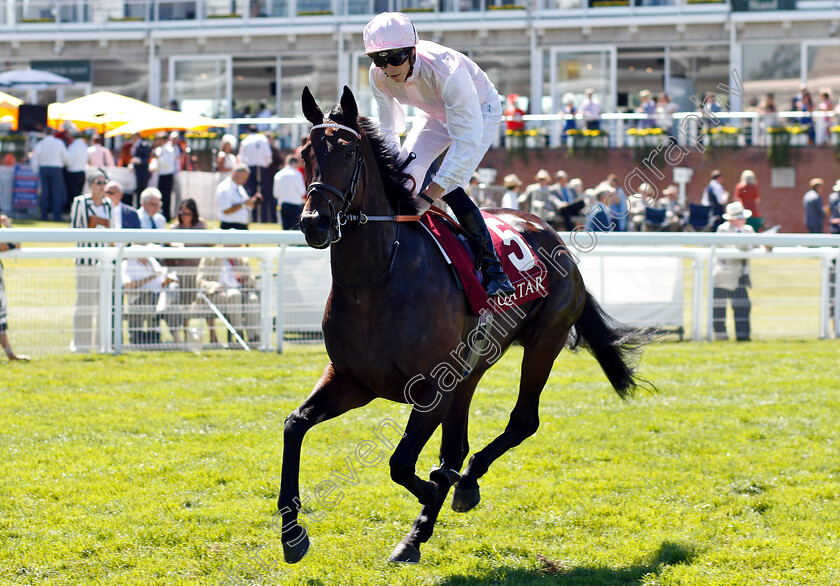 Maid-To-Remember-0001 
 MAID TO REMEMBER (James Doyle)
Goodwood 2 Aug 2018 - Pic Steven Cargill / Racingfotos.com