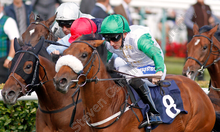 Bravo-Faisal-0004 
 BRAVO FAISAL (right, Paul Hanagan) beats HARIBOUX (left) in The Pepsi Max Nursery
Doncaster 11 Sep 2019 - Pic Steven Cargill / Racingfotos.com