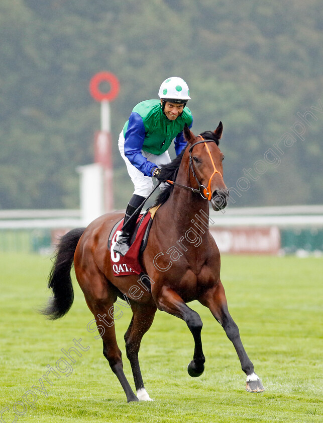 Rashabar-0001 
 RASHABAR (Sean Levey)
Longchamp 6 Oct 2024 - Pic Steven Cargill / Racingfotos.com