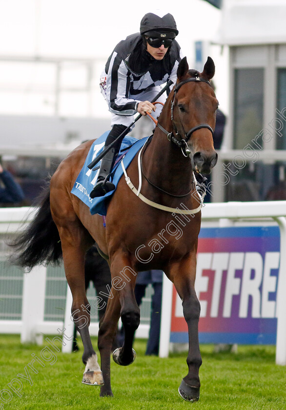 Benacre-0001 
 BENACRE (Richard Kingscote)
Epsom 31 May 2024 - Pic Steven Cargill / Racingfotos.com