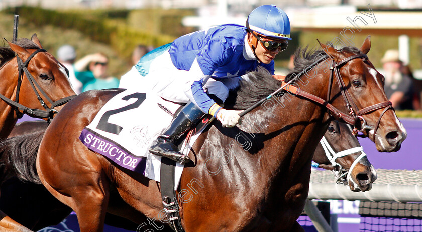 Structor-0005 
 STRUCTOR (Jose Ortiz) wins The Breeders' Cup Juvenile Turf
Santa Anita USA 1 Nov 2019 - Pic Steven Cargill / Racingfotos.com