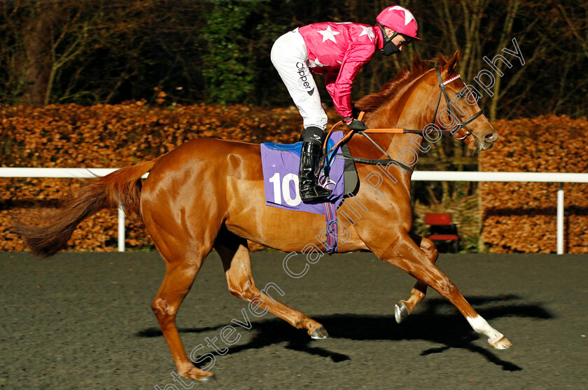 Her-Way-0001 
 HER WAY (Kieran Shoemark)
Kempton 3 Mar 2021 - Pic Steven Cargill / Racingfotos.com