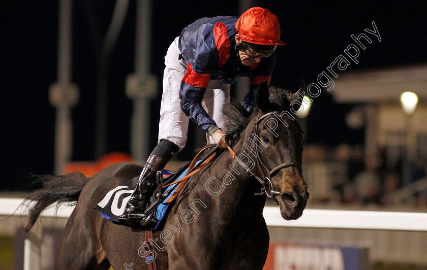 Roca-Magica-0004 
 ROCA MAGICA (Robert Havlin) wins The New tote Classified Stakes
Chelmsford 13 Feb 2020 - Pic Steven Cargill / Racingfotos.com