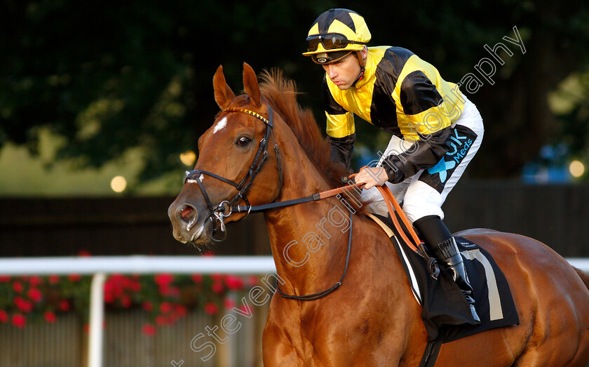 Powerful-Star-0001 
 POWERFUL STAR (Stevie Donohoe)
Newmarket 28 Jun 2019 - Pic Steven Cargill / Racingfotos.com