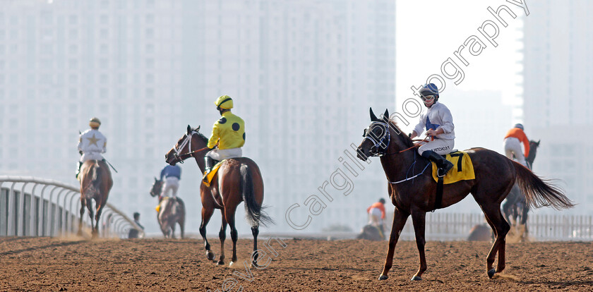 Jebel-Ali-0002 
 Horses pull up after a race at Jebel Ali 9 Mar 2018 - Pic Steven Cargill / Racingfotos.com