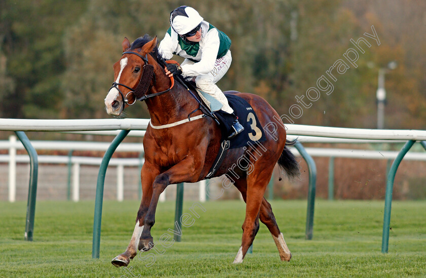 Gordonstoun-0007 
 GORDONSTOUN (Cieren Fallon) wins The Best Odds Guaranteed At Mansionbet Nursery
Nottingham 4 Nov 2020 - Pic Steven Cargill / Racingfotos.com