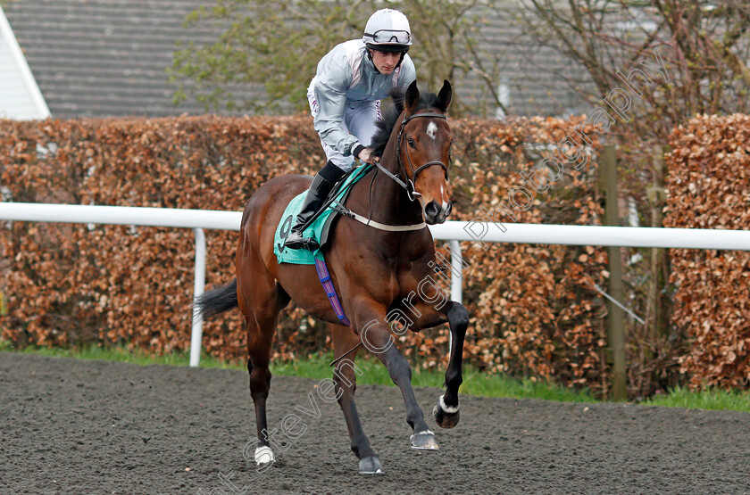 Sod s-Law-0001 
 SOD'S LAW (Charlie Bennett) Kempton 11 Apr 2018 - Pic Steven Cargill / Racingfotos.com