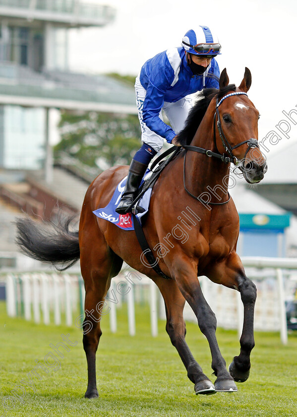 Taqareer-0001 
 TAQAREER (Jim Crowley)
York 12 May 2021 - pic Steven Cargill / Racingfotos.com