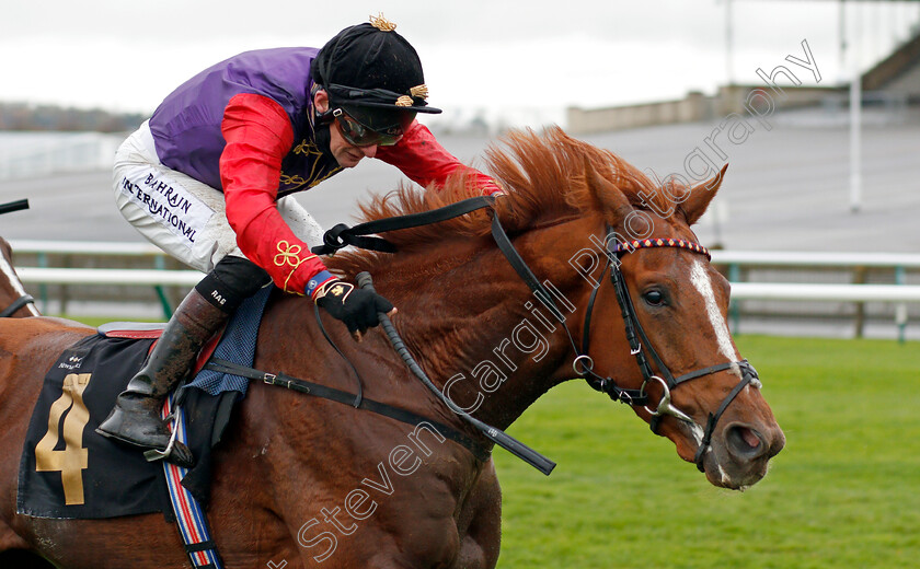 Pied-Piper-0006 
 PIED PIPER (Robert Havlin) wins The Rossdales Laboratories Maiden Stakes
Newmarket 21 Oct 2020 - Pic Steven Cargill / Racingfotos.com