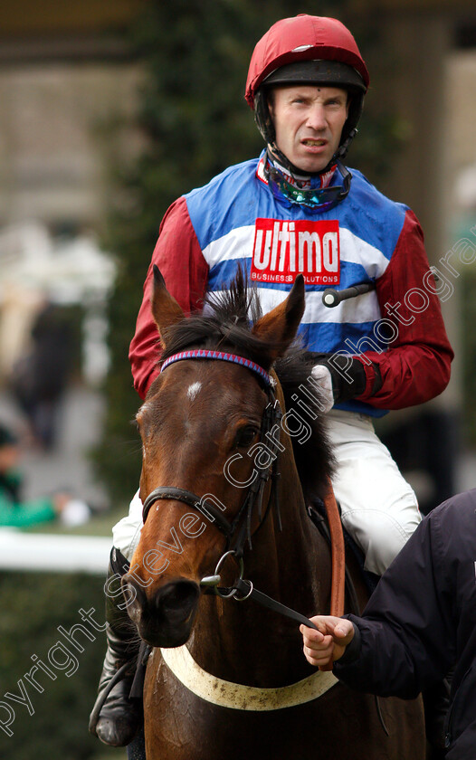 Azzerti-0007 
 AZZERTI (Wayne Hutchinson) after The Bet With Ascot Novices Limited Handicap Chase
Ascot 21 Dec 2018 - Pic Steven Cargill / Racingfotos.com