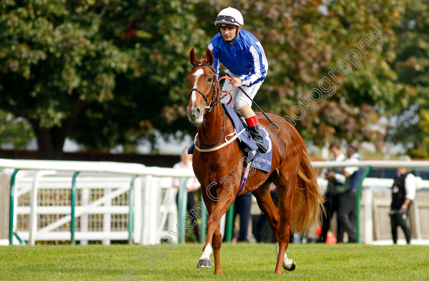 Dance-In-The-Grass-0001 
 DANCE IN THE GRASS (Andrea Atzeni)
Newmarket 23 Sep 2022 - Pic Steven Cargill / Racingfotos.com