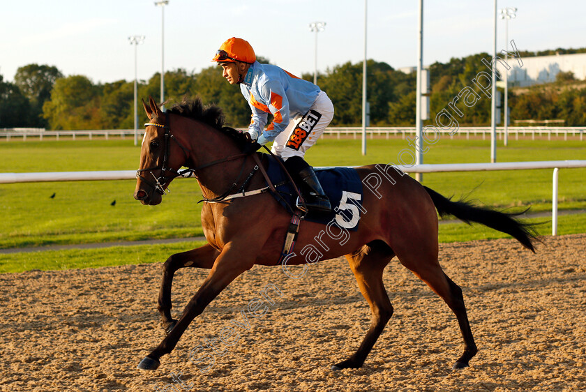 Elysian-Lady-0001 
 ELYSIAN LADY (Silvestre De Sousa)
Wolverhampton 5 Sep 2018 - Pic Steven Cargill / Racingfotos.com