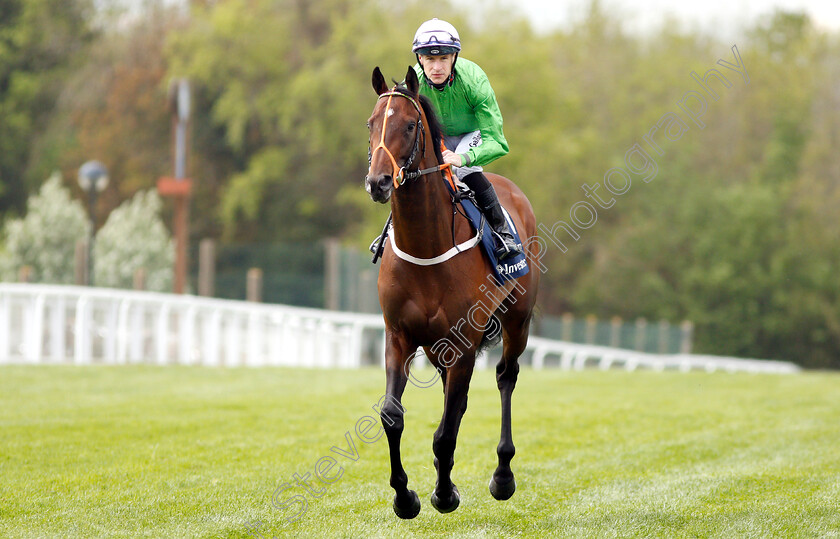 Arthur-Kitt-0001 
 ARTHUR KITT (Richard Kingscote)
Epsom 24 Apr 2019 - Pic Steven Cargill / Racingfotos.com