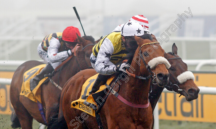 Dakota-Gold-0003 
 DAKOTA GOLD (Paul Mulrennan) wins The Betfair Wentworth Stakes
Doncaster 7 Nov 2020 - Pic Steven Cargill / Racingfotos.com