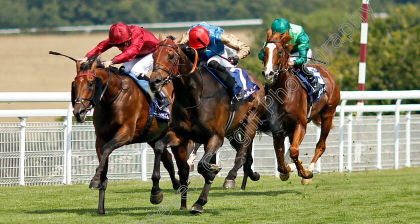 French-Duke-0005 
 FRENCH DUKE (right, James Doyle) beats LORD OF LOVE (left) in The Coral Daily Rewards Shaker Handicap
Goodwood 31 Jul 2024 - Pic Steven Cargill / Racingfotos.com