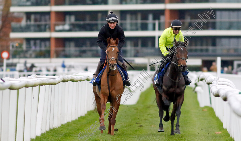 Under-Control-and-Marie s-Rock-0001 
 UNDER CONTROL (left, James Bowen) and MARIE'S ROCK (right, Nico de Boinville)
Coral Gold Cup Gallops Morning
Newbury 21 Nov 2023 - Pic Steven Cargill / Racingfotos.com