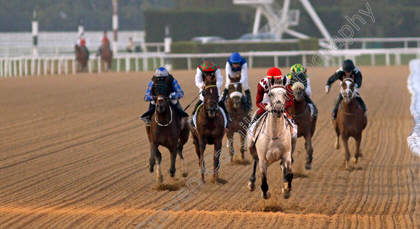 Rajeh-0004 
 RAJEH (grey, Antonio Fresu) wins The Al Maktoum Challenge (Round 2) for Purebred Arabians
Meydan, 4 Feb 2022 - Pic Steven Cargill / Racingfotos.com