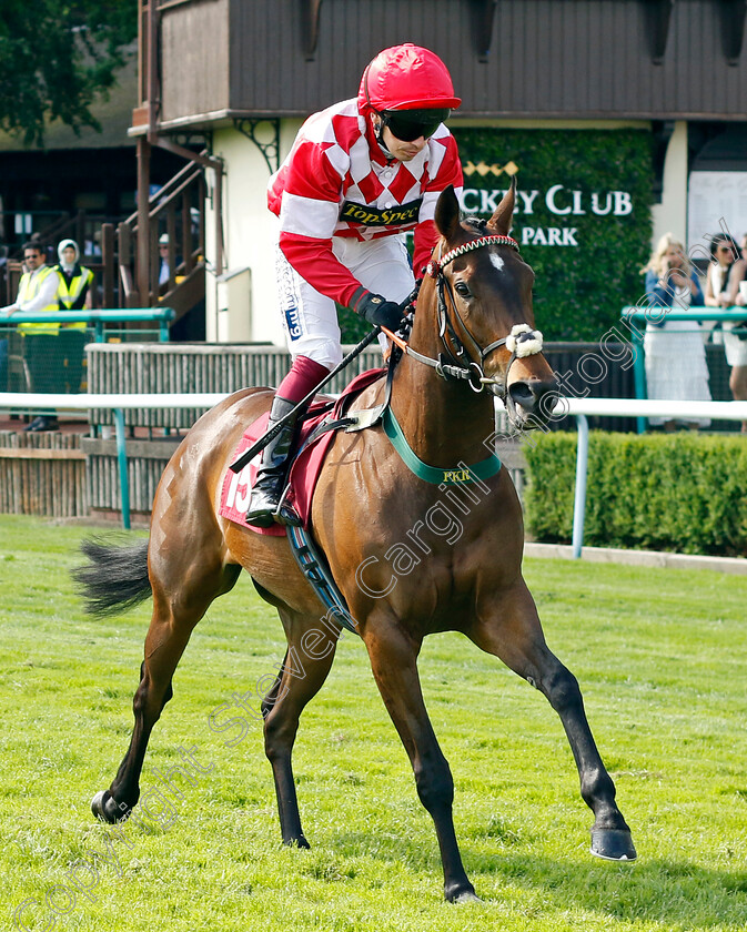 Lady-Bouquet-0001 
 LADY BOUQUET (Andrew Mullen)
Haydock 25 May 2024 - Pic Steven cargill / Racingfotos.com