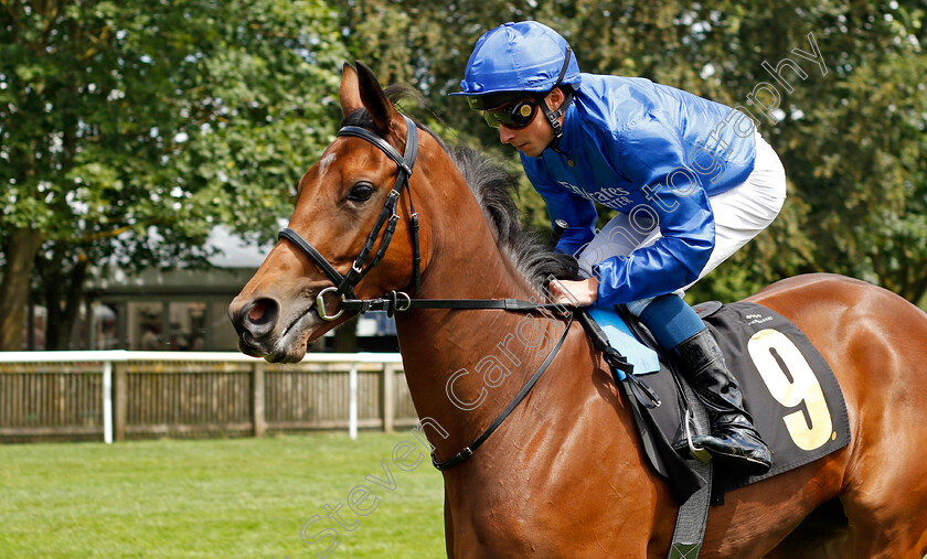 Race-The-Wind-0005 
 RACE THE WIND (William Buick) winner of The Rossdales British EBF Maiden Fillies Stakes
Newmarket 15 Jul 2023 - Pic Steven Cargill / Racingfotos.com