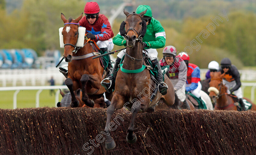 Abricot-De-L Oasis-0002 
 ABRICOT DE L'OASIS (Frederick Henderson) Cheltenham 4 May 2018 - Pic Steven Cargill / Racingfotos.com