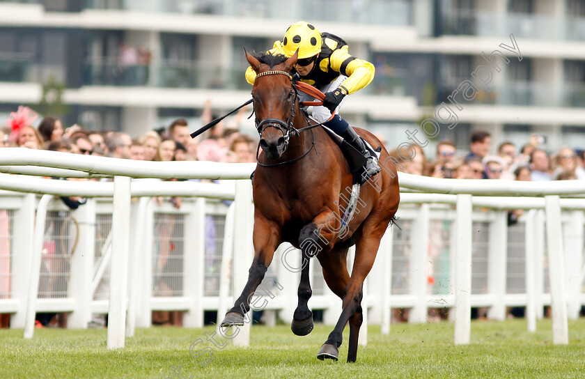 Squats-0002 
 SQUATS (Georgia Cox) wins The Laurent-Perrier Handicap
Newbury 18 Aug 2018 - Pic Steven Cargill / Racingfotos.com