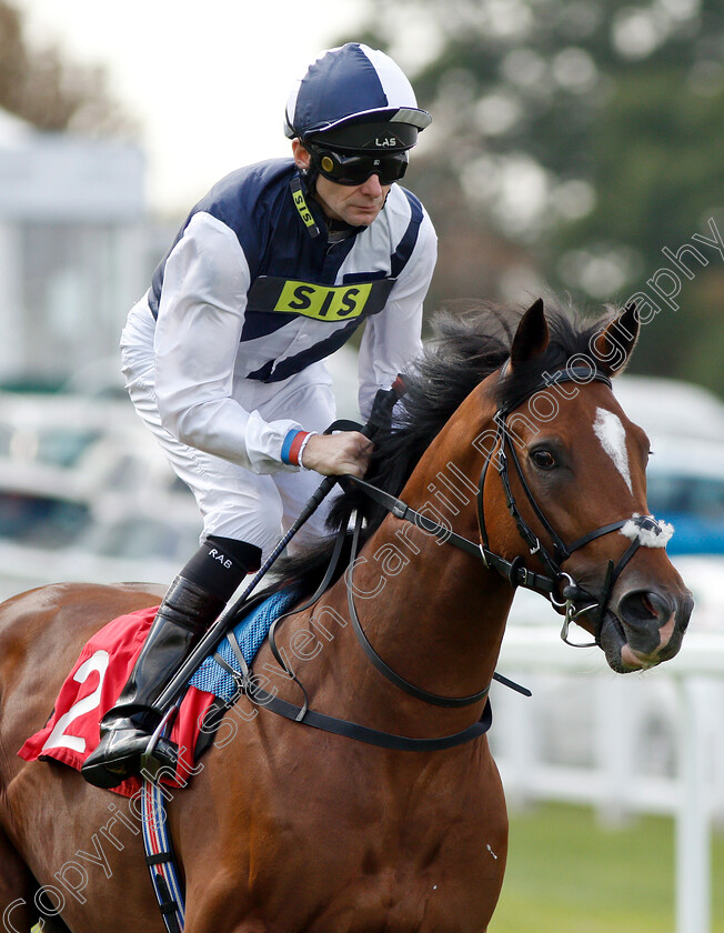 Buffalo-River-0002 
 BUFFALO RIVER (Robert Havlin)
Sandown 31 Aug 2018 - Pic Steven Cargill / Racingfotos.com