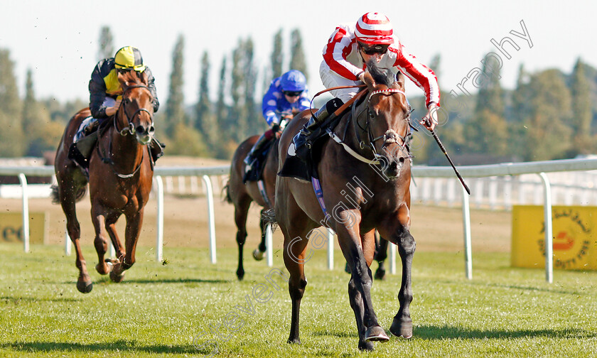 Smokey-Bear-0004 
 SMOKEY BEAR (Jason Watson) wins The British Stallion Studs EBF Maiden Stakes Div2
Newbury 20 Sep 2019 - Pic Steven Cargill / Racingfotos.com