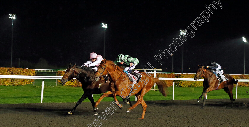 Like-A-Tiger-0004 
 LIKE A TIGER (centre, Daniel Muscutt) beats UMBERTO (left) in The Unibet British Stallion Studs EBF Novice Stakes Div1
Kempton 16 Nov 2022 - Pic Steven Cargill / Racingfotos.com