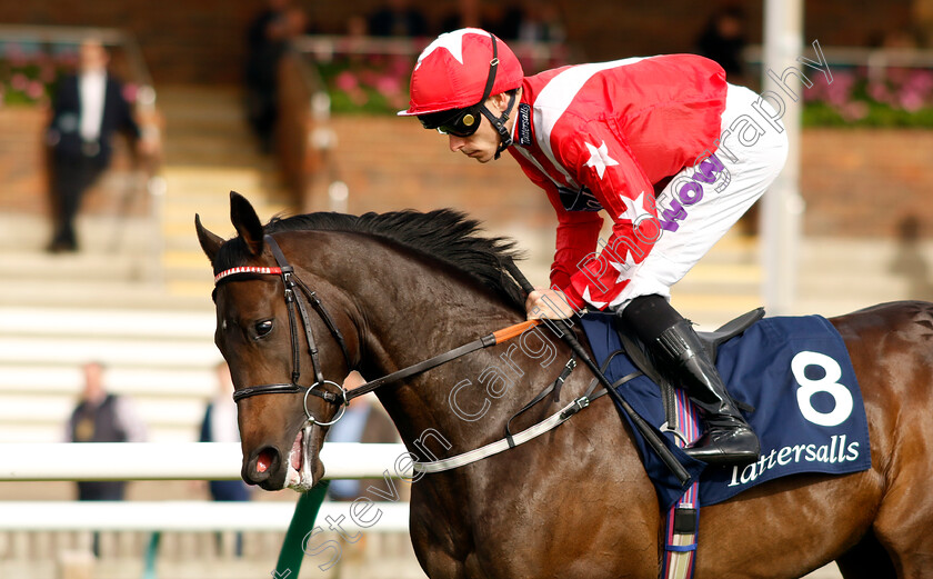 Rich-Glory-0001 
 RICH GLORY (Kieran Shoemark)
Newmarket 7 Oct 2023 - Pic Steven Cargill / Racingfotos.com