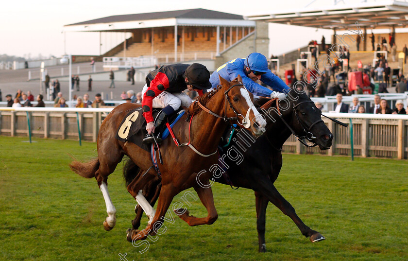 Al-Fajir-Mukbile-0003 
 AL FAJIR MUKBILE (right, Gerald Mosse) beats STEEVE (left) in The Newmarket Equine Security Nursery
Newmarket 24 Oct 2018 - Pic Steven Cargill / Racingfotos.com