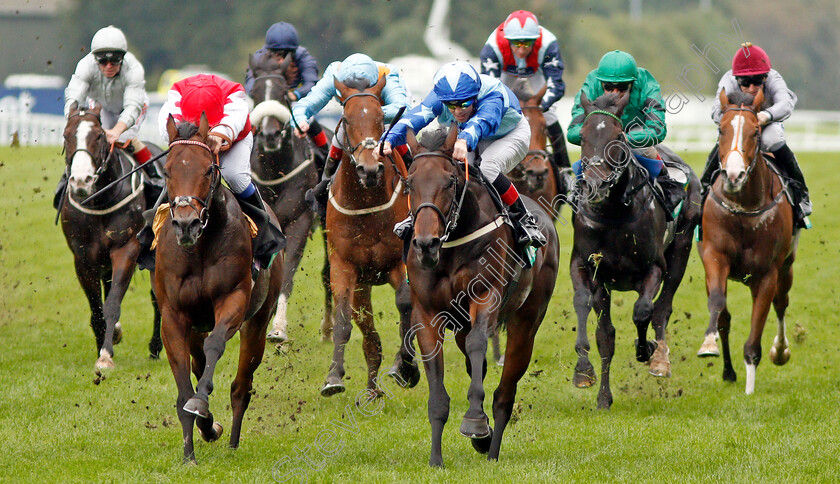 Kynren-0002 
 KYNREN (centre, Ben Curtis) beats GREENSIDE (left) in The bet365 Challenge Cup 
Ascot 5 Oct 2019 - Pic Steven Cargill / Racingfotos.com