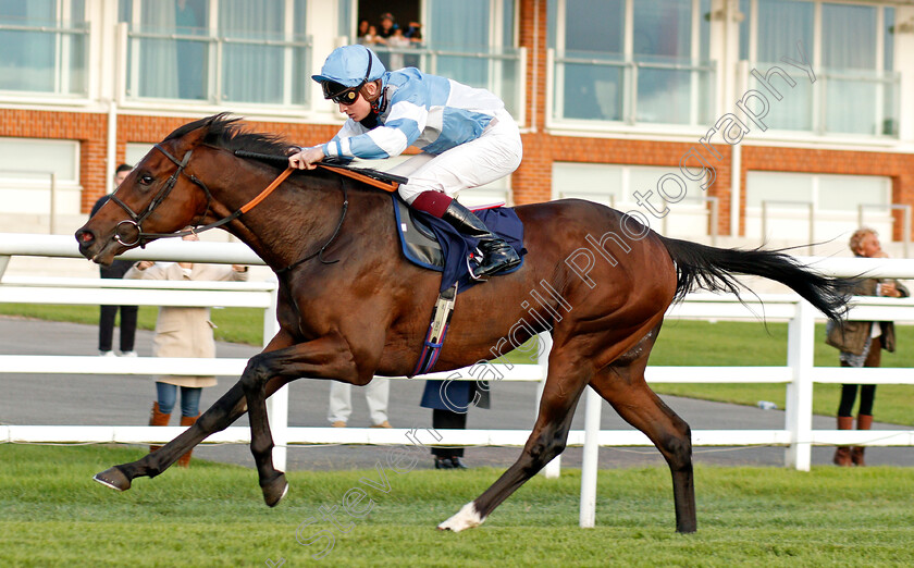 Patient-Dream-0006 
 PATIENT DREAM (Rob Hornby) wins The Betway British Stallion Studs EBF Novice Median Auction Stakes Div2
Lingfield 26 Aug 2020 - Pic Steven Cargill / Racingfotos.com