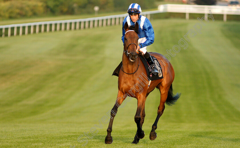 Ojooba-0001 
 OJOOBA (Dane O'Neill)
Newmarket 28 Jun 2019 - Pic Steven Cargill / Racingfotos.com