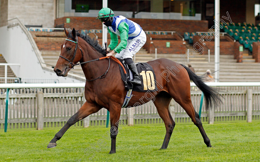 Substantial-0002 
 SUBSTANTIAL (Tom Marqaund)
Newmarket 30 Oct 2020 - Pic Steven Cargill / Racingfotos.com