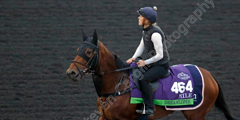 Dreamloper-0001 
 DREAMLOPER training for the Breeders' Cup Mile
Keeneland USA 1 Nov 2022 - Pic Steven Cargill / Racingfotos.com