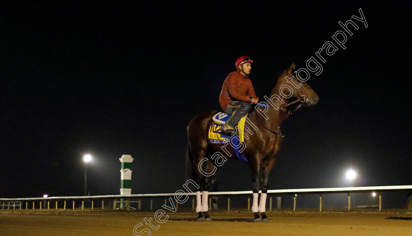 Flightline-0002 
 FLIGHTLINE training for the Breeders' Cup Classic
Keeneland USA 2 Nov 2022 - Pic Steven Cargill / Racingfotos.com