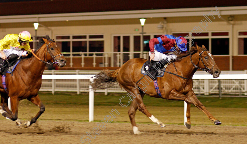 Ahlawi-0004 
 AHLAWI (James Doyle) wins The Racing Welfare Novice Stakes
Chelmsford 27 Nov 2020 - Pic Steven Cargill / Racingfotos.com