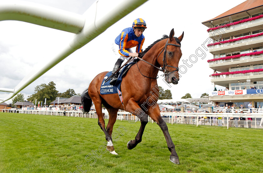 Aesop s-Fables-0001 
 AESOP'S FABLES (Ryan Moore)
York 25 Aug 2023 - Pic Steven Cargill / Racingfotos.com