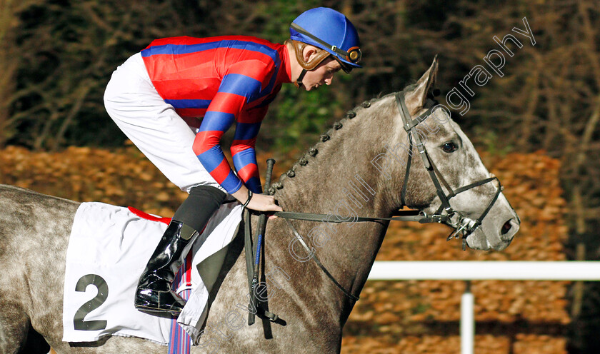 Arctic-Vega-0003 
 ARCTIC VEGA (Rob Hornby) winner of The 32Red On The App Store Maiden Stakes Div1
Kempton 19 Feb 2020 - Pic Steven Cargill / Racingfotos.com