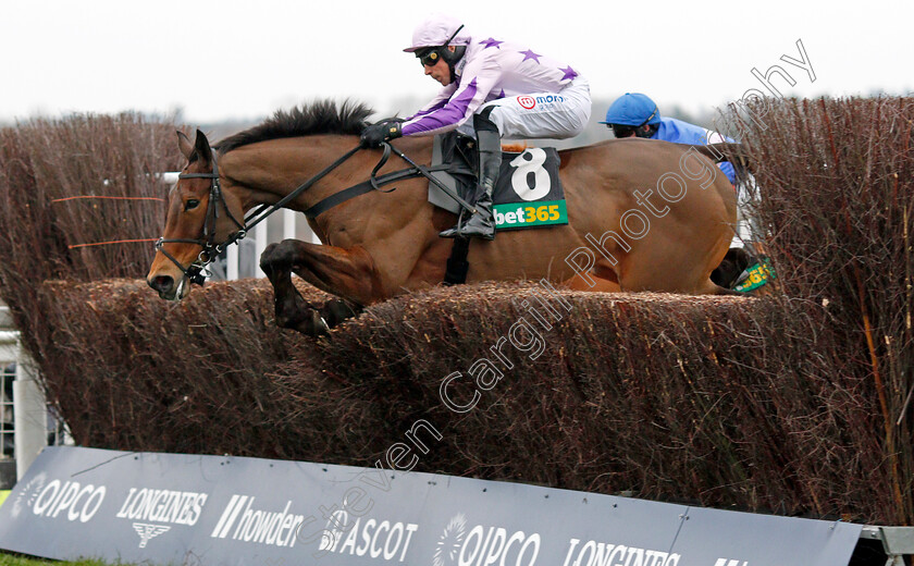 Knight-In-Dubai 
 KNIGHT IN DUBAI (Harry Skelton)
Ascot 22 Jan 2022 - Pic Steven Cargill / Racingfotos.com