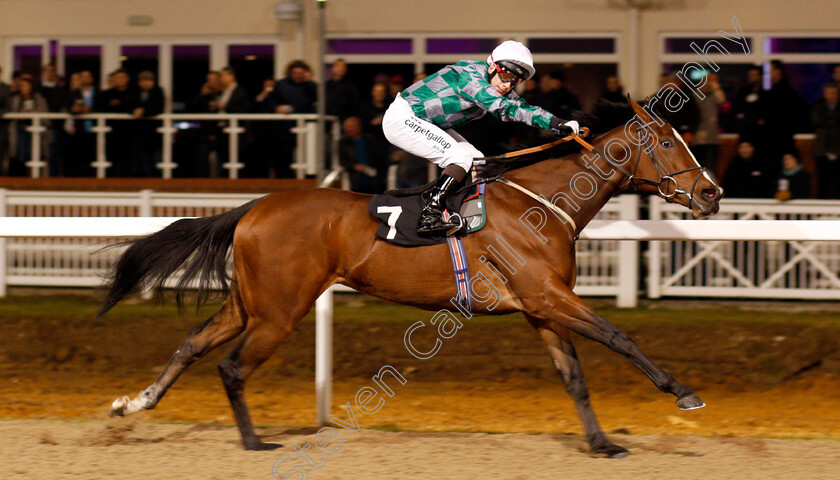 Karijini-0005 
 KARIJINI (Edward Greatrex) wins The Bet toteexacta At betfred.com Maiden Stakes Chelmsford 8 Dec 2017 - Pic Steven Cargill / Racingfotos.com