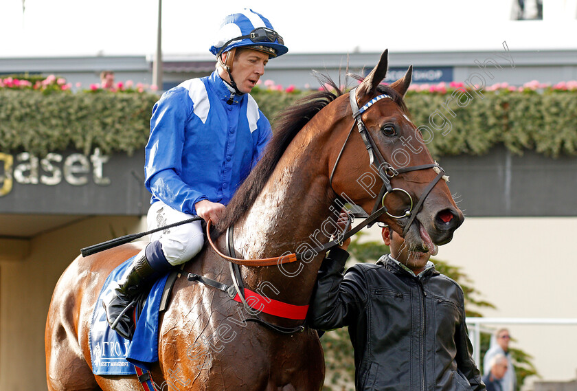 Mukalal-0005 
 MUKALAL (Jim Crowley) after The Troy Asset Management Handicap Ascot 6 Oct 2017 - Pic Steven Cargill / Racingfotos.com