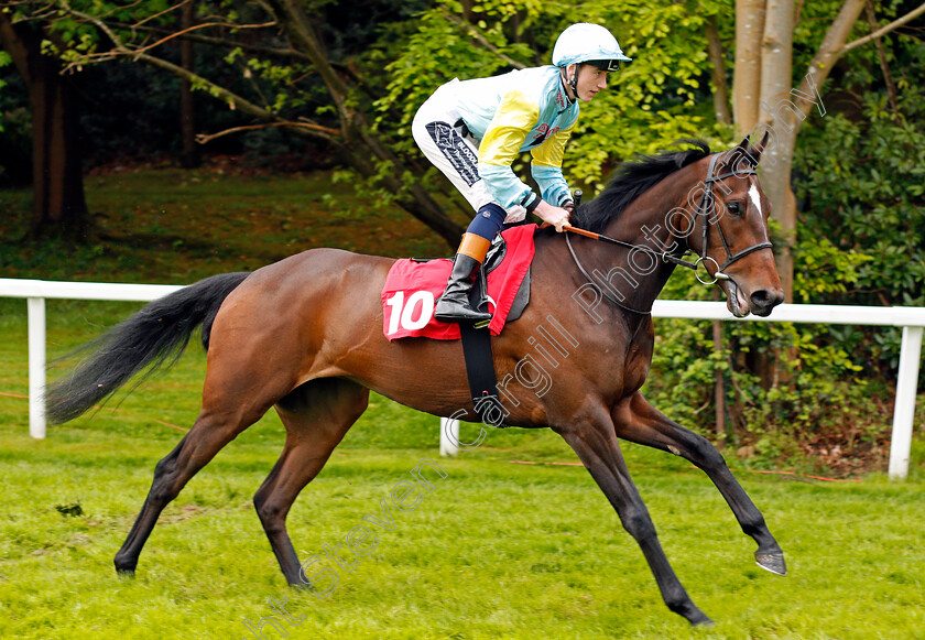 Tolkyn-0001 
 TOLKYN (David Egan) Sandown 27 Apr 2018 - Pic Steven Cargill / Racingfotos.com