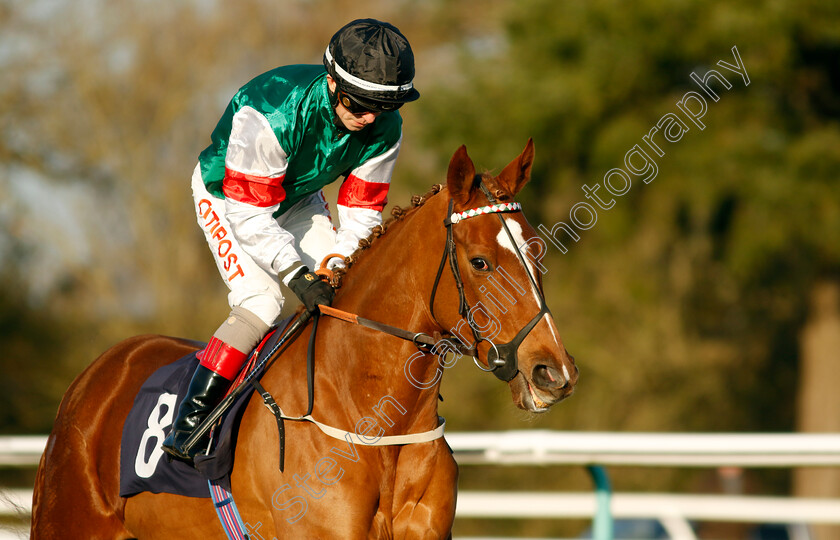 The-Flying-Ginger-0001 
 THE FLYING GINGER (Franny Norton)
Lingfield 21 Jan 2023 - Pic Steven Cargill / Racingfotos.com